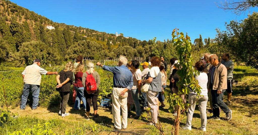 Ομαδική ξενάγηση στη Livada Farm στην Άνδρο, με επισκέπτες να παρατηρούν τις βιολογικές και αναγεννητικές καλλιέργειες. Αγροτουρισμός Άνδρος