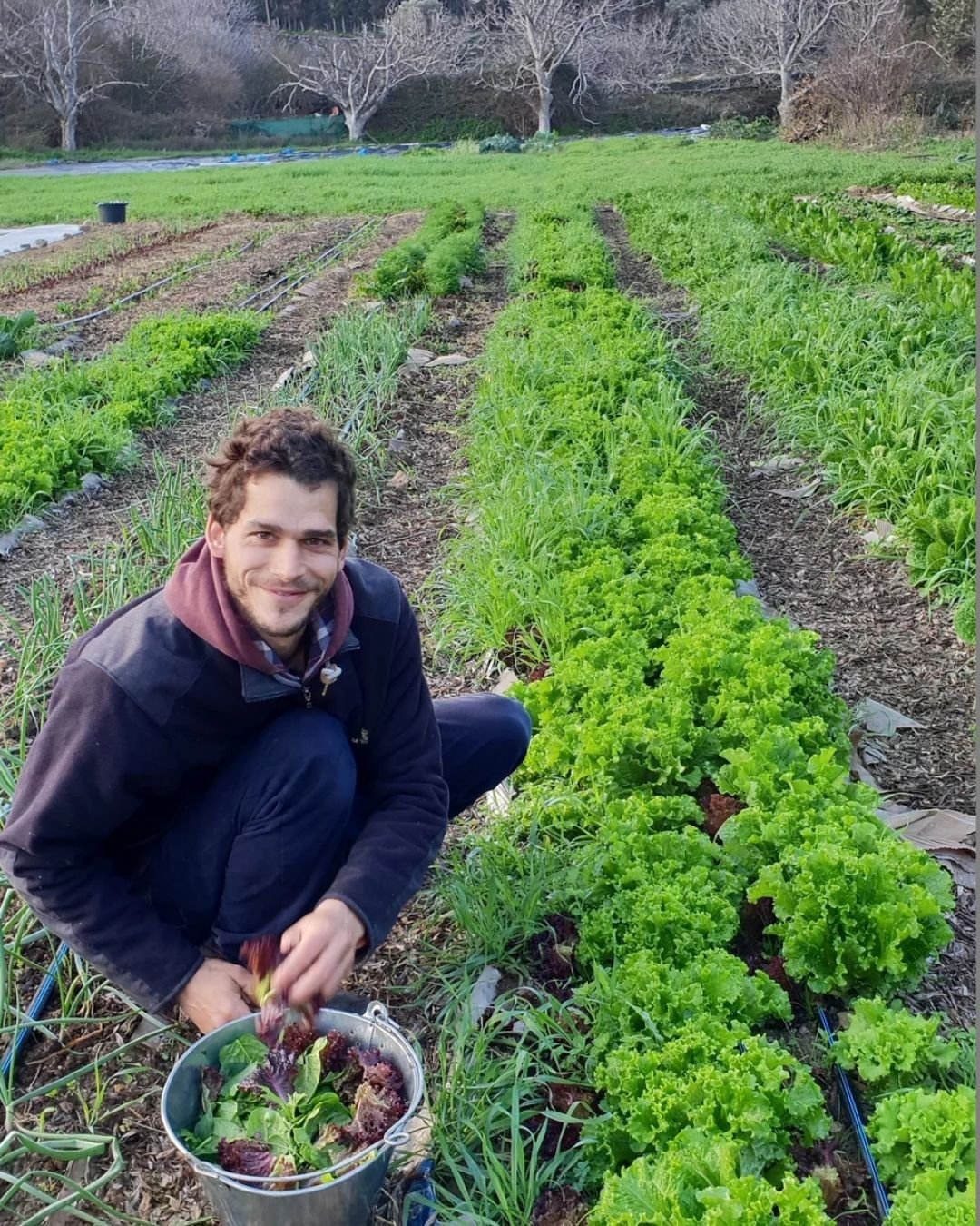 Άρθρο για το Livada Farm στην Άνδρο στο iefimerida